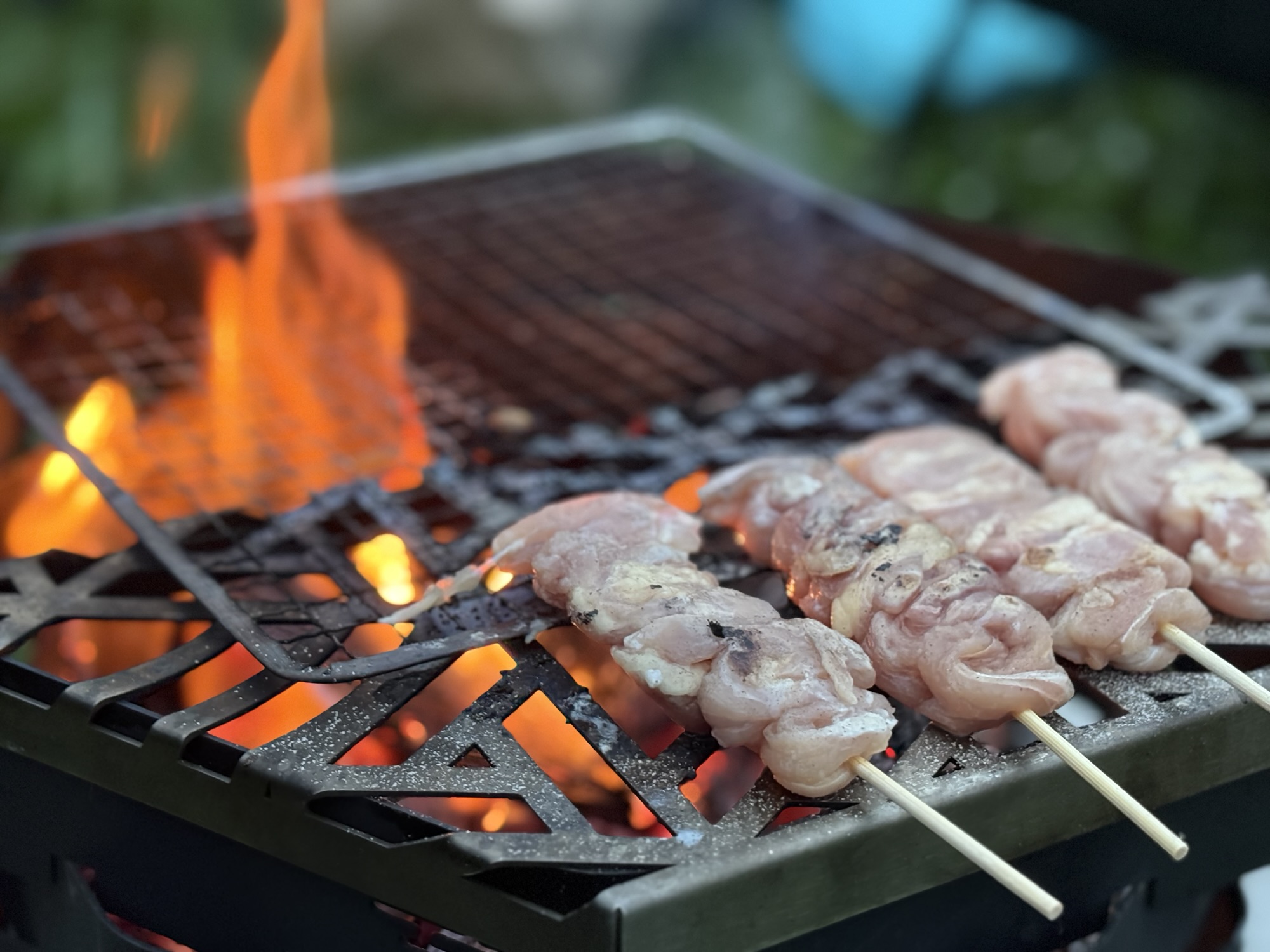 【初心者向け】100均(ダイソー)で買えるキャンプギアおすすめ4選